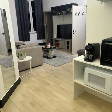 Bindi Little Palace Apartment Antwerp